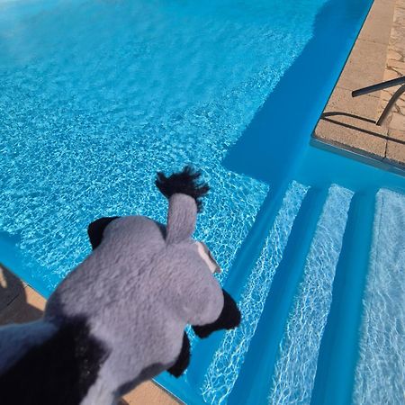 Havre De Paix Appart Climatise,Piscine,Wifi Le Barcarès Exterior foto